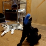 くぅちゃん _ (1).jpg